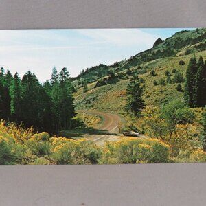 Vintage Postcard - Cedar Pass Modoc County California - Eastman's Studio